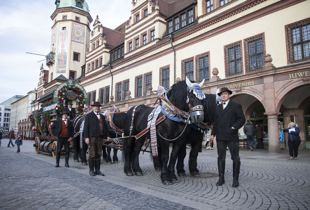 Mehrere festlich geschmückte Kaltblutpferde ziehen einen historischen Augustiner-Bierwagen durch die Straße.